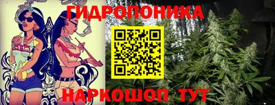 гашишное масло Будённовск