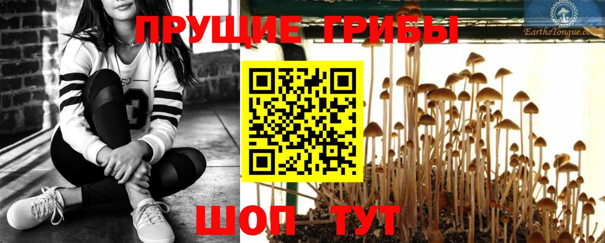 Галлюциногенные грибы GOLDEN TEACHER  Вход с VPN  Мирный  Галлюциногенные грибы Cubensis 